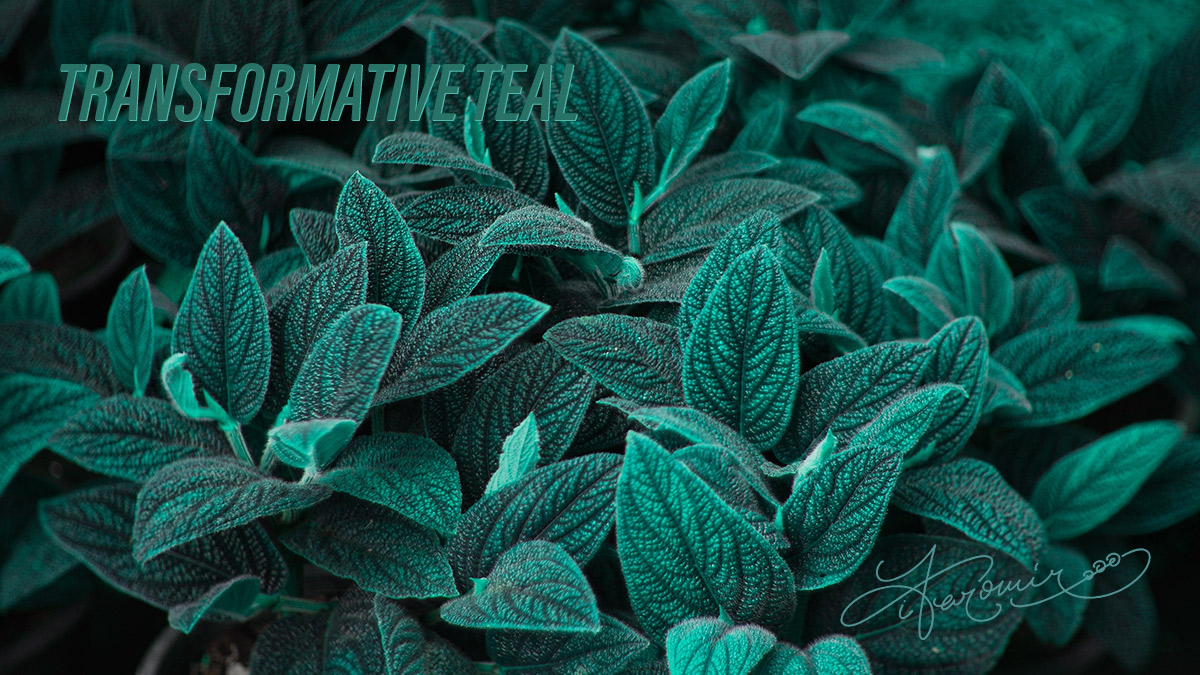 Transformative Teal: Barva roku 2026